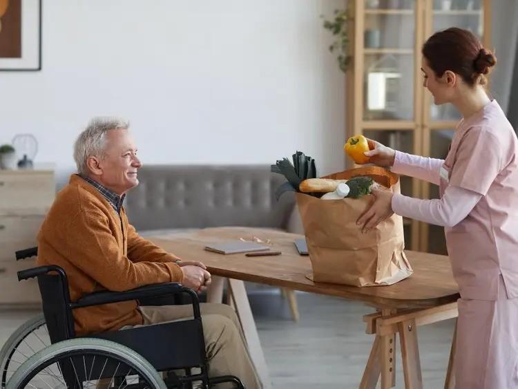elder companion care
